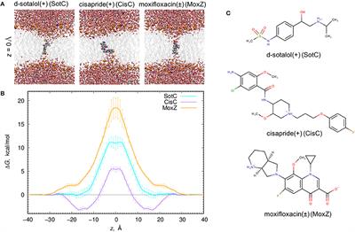 Digging into Lipid Membrane Permeation for Cardiac Ion Channel Blocker d-Sotalol with All-Atom Simulations